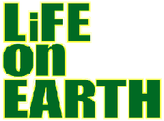 Life On Earth - Stockport Band